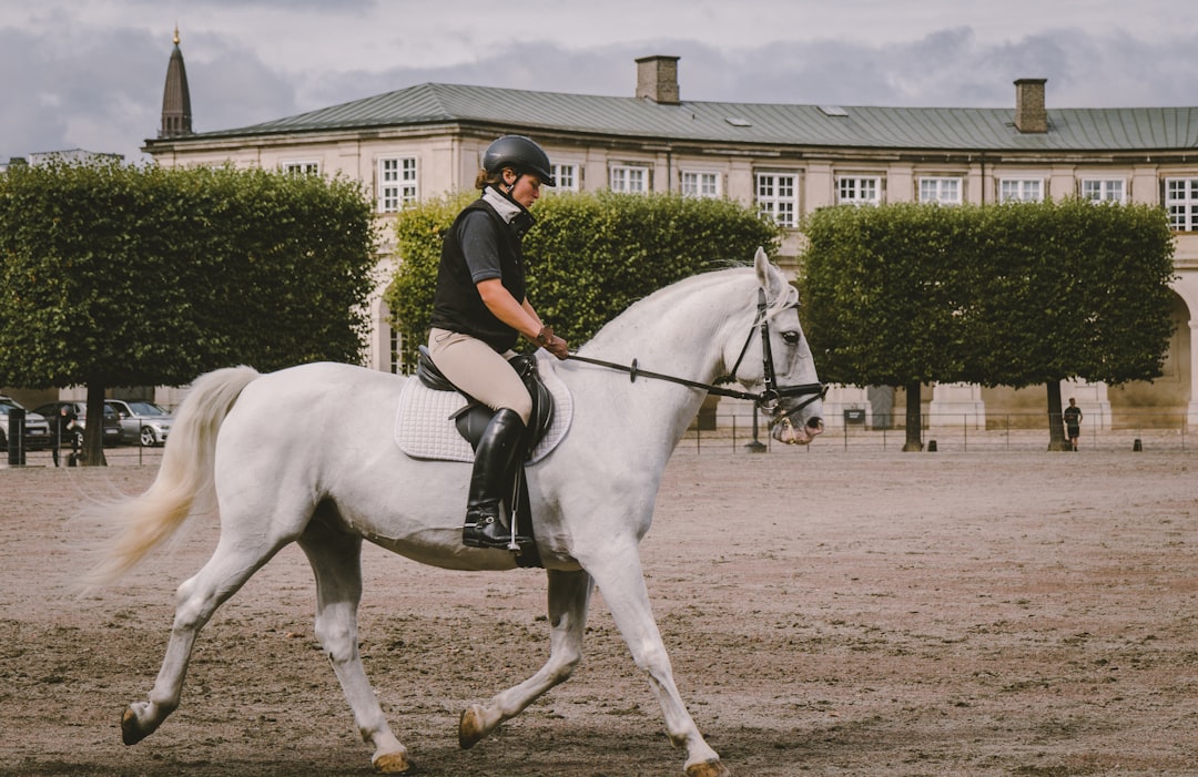 Horse Trainer